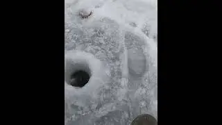 РЫБАЛКА НА ОКУНЯ В ГЛУХОЗИМЬЕ #fishingvideo #perch #perchfishing  #окунь  #рыбалканаокуня