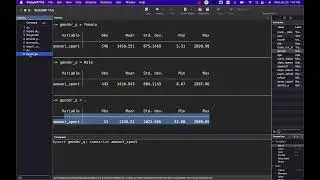 bysort and summarize STATA