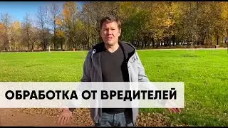 Гринери. Обработка от вредителей. Лечение деревьев.