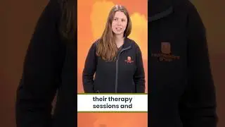 Why Do I Need Labs After a Concussion?