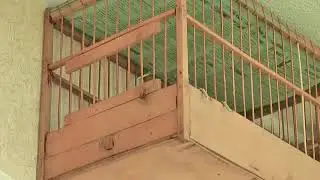пение джурбая