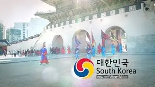South Korea Autumn Foliage [40 Over Destinations] [HD]