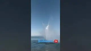 Bodensee🇨🇭