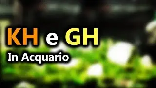 KH e GH in ACQUARIO: Cosa Sono e come Gestirli