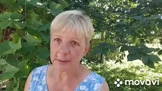 ЖИВЕМ В ДЕРЕВНЕ/ БЕЛАРУСЬ.Почему мы держим только Курочек.