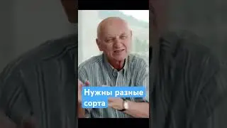Для разных людей нужны разные сорта 