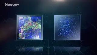 Технология Nano Balance - видео от DISCOVERY Channel