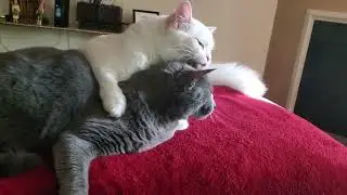 when mama takes care of you, you take care of her back ♥️