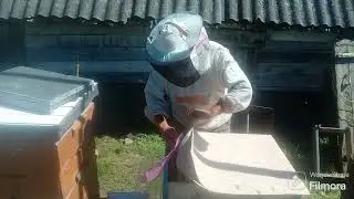 Перестройка улья с 8 на 16 рам.