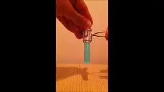 Jesse Holleran - Le Chatelier's principle