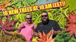 The Fall Color on These Trees is CRAZY! 10@10 for October 29th w/ Matt and Tim