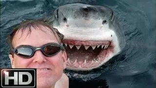 Top 5 Dangerous Photos Clicked at Right Time! (Part-1)