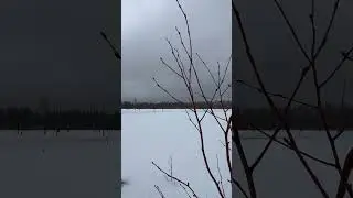 #весна