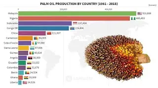 Top 15 Countries by Palm Oil Production (1961 – 2018)
