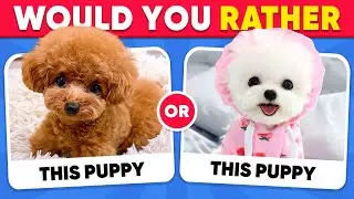 Would You Rather...? ANIMALS Edition 😺🐶 Fox Quiz