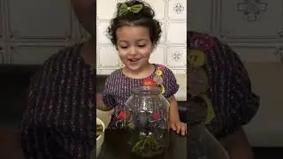 Դանդուռի թթու