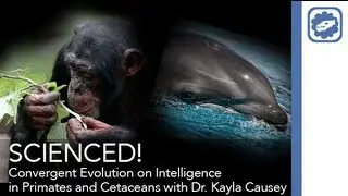 SCIENCED! - 