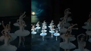 Фрагмент из балета «Лебединое озеро». Михайловский театр