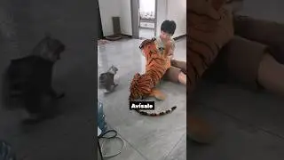 ¡Este desafío lo tiene todo en juego! 🏆🔥