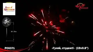 РС6371 ГУЛЯЙ, СТУДЕНТ!