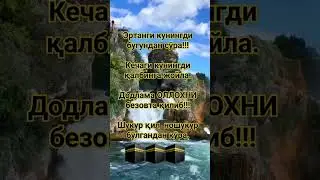 Борига шукур қилинг 