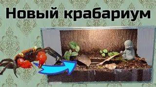 Новая модель террариума для членистоногих. Откидная дверка!