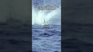 10 Mind-Blowing Facts About Fish You Didn't Know!