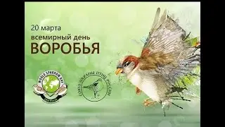 20 марта. Всемирный день воробья