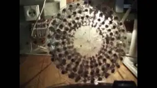 Почему Они так сильно боятся БТГ из медных проволочек и почему нападают?