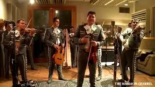 A MI MANERA   MARIACHI NUEVO TECALITLAN