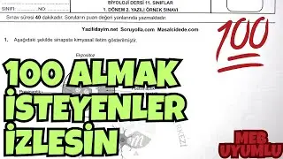 11.Sınıf Biyoloji 1.Dönem 2.Yazılı