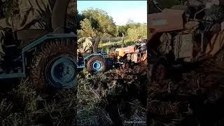ребята покатались