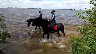 Вихідний на природі