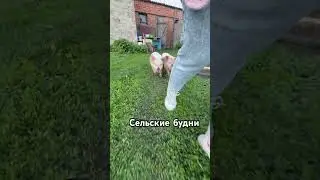 29 апреля 2024 г.