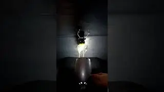 Dirección de la luz y tipos de iluminación en la fotografía. Secundaria. Arte.