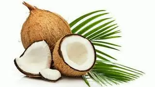 World Coconut Day