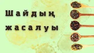 Дастарқанымыздағы Шай Қалай Жасалады?