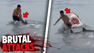 The Most BRUTAL Shark Attacks MARATHON!