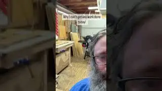 Quality Woodshop Help is Hard to Find #woodworking  #dog #humor #woodworklife