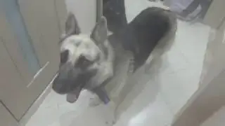 Необычный монтаж дверей