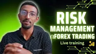 Forex trading mentorship | Introduction to trading plan and risk management