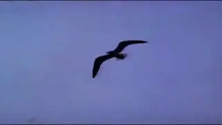 $uicideboy$ - Clouds As Witnesses Instrumental/Beat Cover //SADMANE