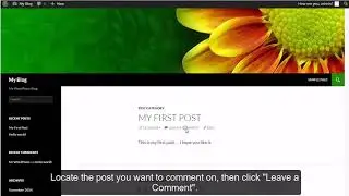 WordPress - Writing Comments