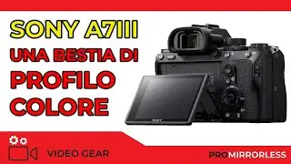 SONY: UNA BESTIA DI PROFILO COLORE!