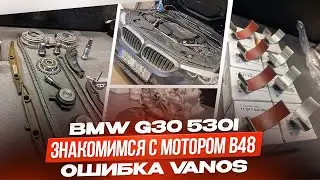 BMW G30 530I: Getting to Know the B48 Gasoline Engine. Replacing Timing Chains. Vanos Error Codes...