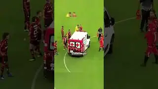 🚑 They aren't the brightest...