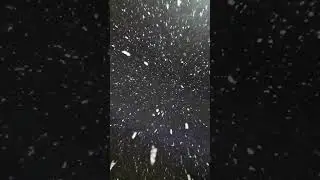 Новогодняя СКАЗКА