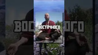 МОНАХ В RED DEAD REDEMPTION 2 