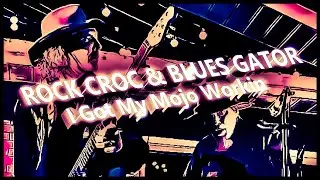 I GOT MY MOJO WORKIN - ROCK CROC & BLUES GATOR