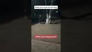 Scary video😳 